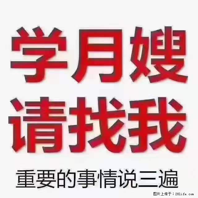 为什么要学习月嫂,育婴师? - 其他广告 - 广告专区 - 钦州分类信息 - 钦州28生活网 qinzhou.28life.com