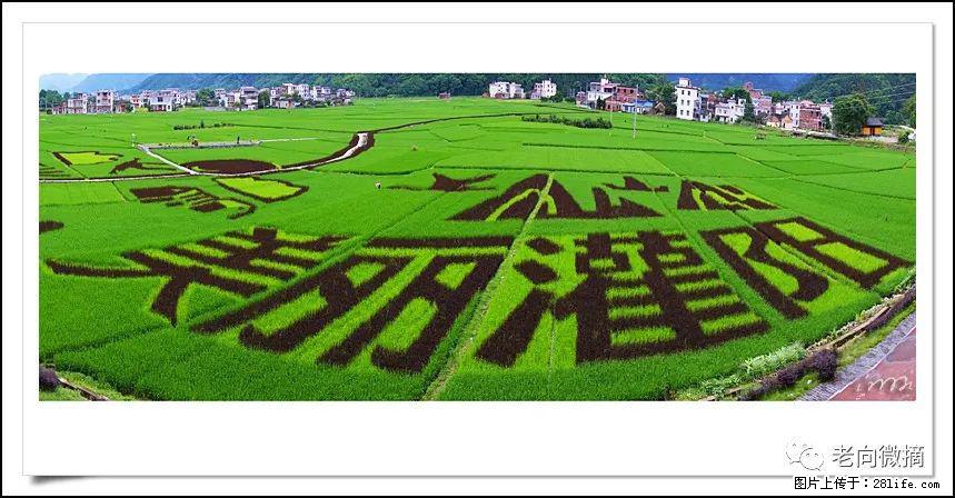 【春天,广西桂林灌阳县向您发出邀请!】开篇 - 游山玩水 - 钦州生活社区 - 钦州28生活网 qinzhou.28life.com