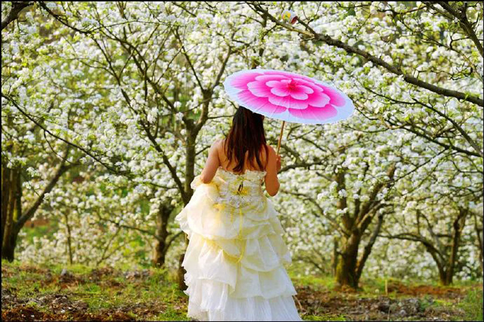 【春天,广西桂林灌阳县向您发出邀请!】我们在灌阳看梨花 - 游山玩水 - 钦州生活社区 - 钦州28生活网 qinzhou.28life.com