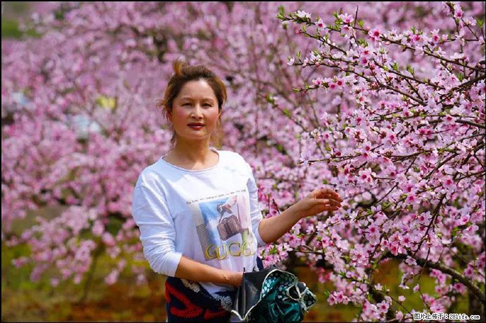 【春天,广西桂林灌阳县向您发出邀请!】官庄村有个醉美的桃花园 - 游山玩水 - 钦州生活社区 - 钦州28生活网 qinzhou.28life.com