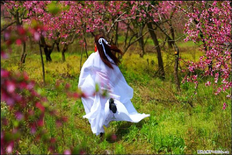 【春天,广西桂林灌阳县向您发出邀请!】官庄村有个醉美的桃花园 - 游山玩水 - 钦州生活社区 - 钦州28生活网 qinzhou.28life.com