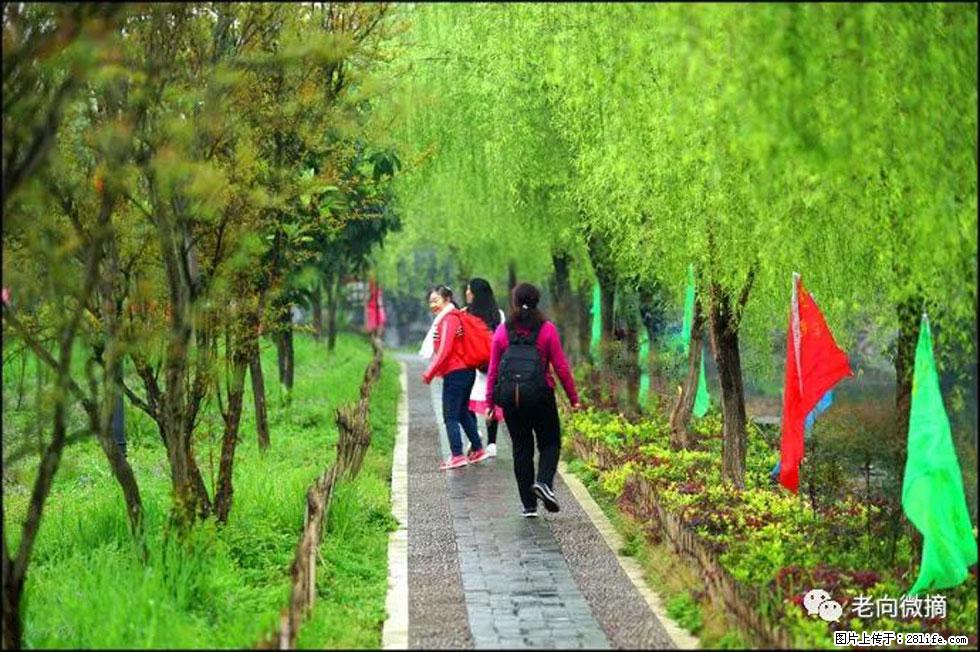 【春天，广西桂林灌阳县向您发出邀请！】江口老街又逢春 - 游山玩水 - 钦州生活社区 - 钦州28生活网 qinzhou.28life.com