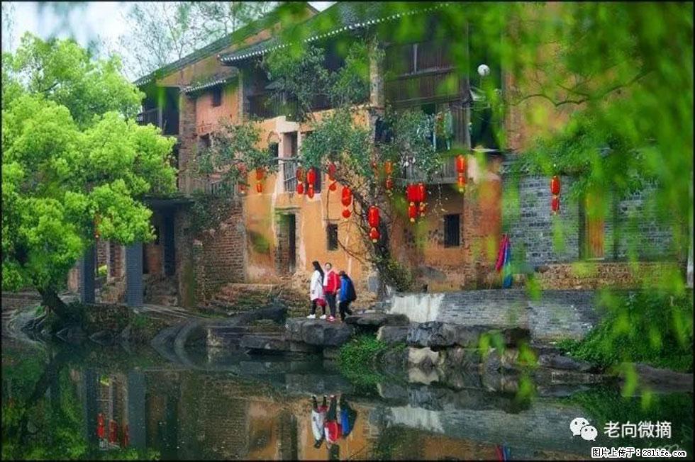 【春天，广西桂林灌阳县向您发出邀请！】江口老街又逢春 - 游山玩水 - 钦州生活社区 - 钦州28生活网 qinzhou.28life.com