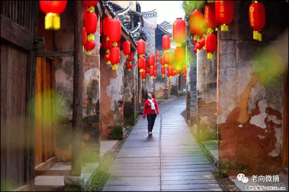 【春天，广西桂林灌阳县向您发出邀请！】江口老街又逢春 - 游山玩水 - 钦州生活社区 - 钦州28生活网 qinzhou.28life.com