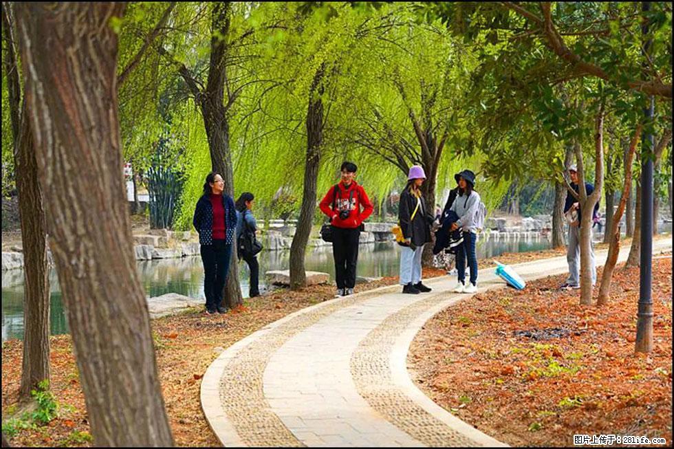 【春天，广西桂林灌阳县向您发出邀请！】江口老街又逢春 - 游山玩水 - 钦州生活社区 - 钦州28生活网 qinzhou.28life.com