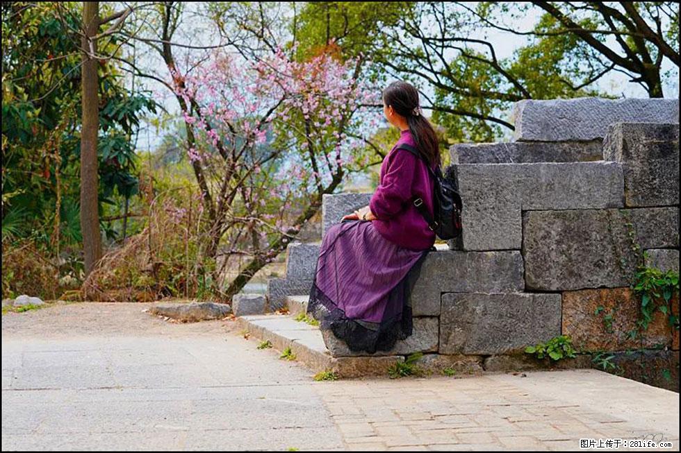 【春天，广西桂林灌阳县向您发出邀请！】江口老街又逢春 - 游山玩水 - 钦州生活社区 - 钦州28生活网 qinzhou.28life.com