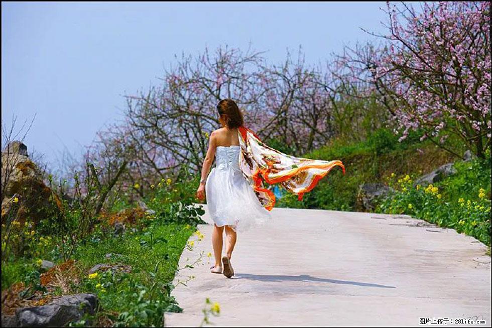 【春天,广西桂林灌阳县向您发出邀请!】望月岭上桃花开 - 游山玩水 - 钦州生活社区 - 钦州28生活网 qinzhou.28life.com