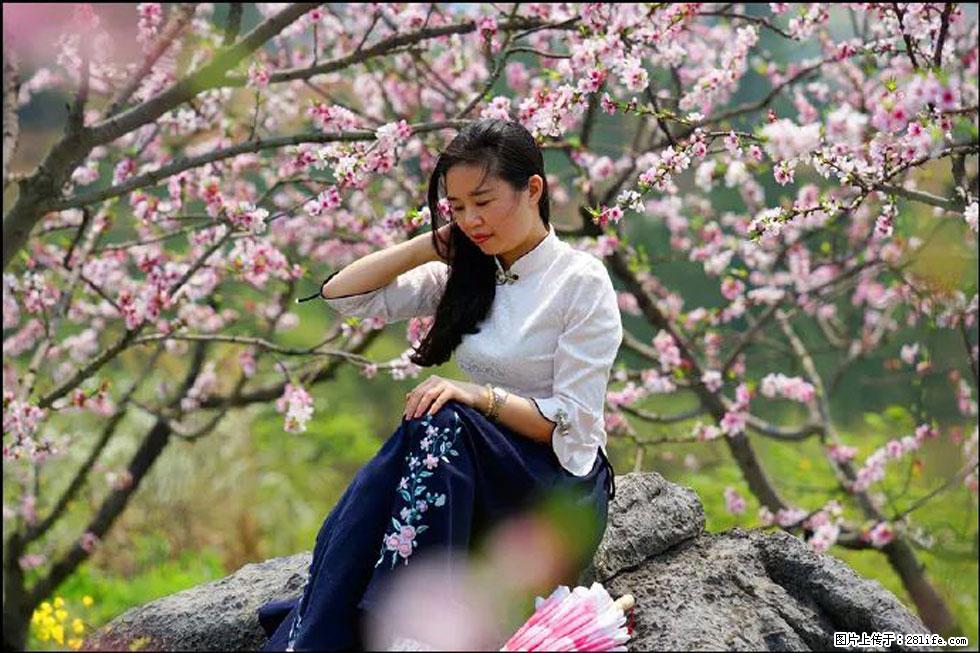 【春天,广西桂林灌阳县向您发出邀请!】望月岭上桃花开 - 游山玩水 - 钦州生活社区 - 钦州28生活网 qinzhou.28life.com