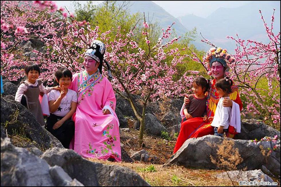【春天,广西桂林灌阳县向您发出邀请!】望月岭上桃花开 - 游山玩水 - 钦州生活社区 - 钦州28生活网 qinzhou.28life.com