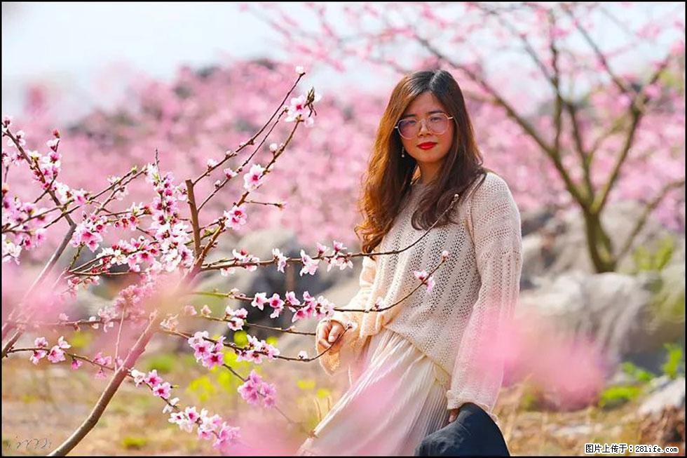 【春天,广西桂林灌阳县向您发出邀请!】望月岭上桃花开 - 游山玩水 - 钦州生活社区 - 钦州28生活网 qinzhou.28life.com