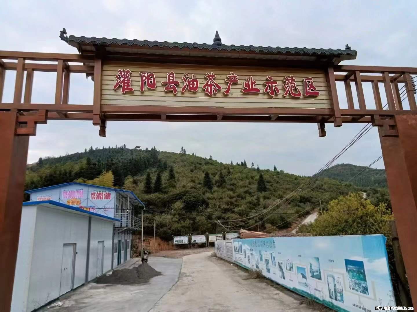 【灌阳县油茶产业示范区】一个有着充实的精神生活的人,对待身外之物自会有一种淡泊的态度 - 美食天地 - 钦州生活社区 - 钦州28生活网 qinzhou.28life.com