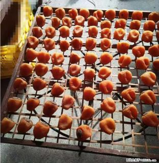 广西桂林平乐桥亭【柿饼之乡】2025年纯手工制作、无任何添加剂的第一批柿饼准备上市了，欢迎联系订购！ - 钦州28生活网 qinzhou.28life.com