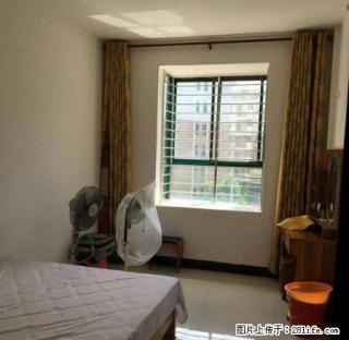 教育局对面 翰林家园 抢手1房1厅出租 精装修仅600 - 钦州28生活网 qinzhou.28life.com