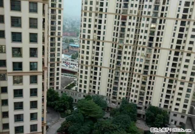 家具家电齐全,拎包入住好便宜,敢紧看房 - 房屋出租 - 房屋租售 - 钦州分类信息 - 钦州28生活网 qinzhou.28life.com