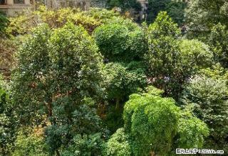 金茂·江滨豪园 3室2厅2卫 - 钦州28生活网 qinzhou.28life.com