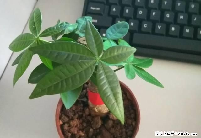 出租江滨豪园两房拎包入住。 - 房屋出租 - 房屋租售 - 钦州分类信息 - 钦州28生活网 qinzhou.28life.com