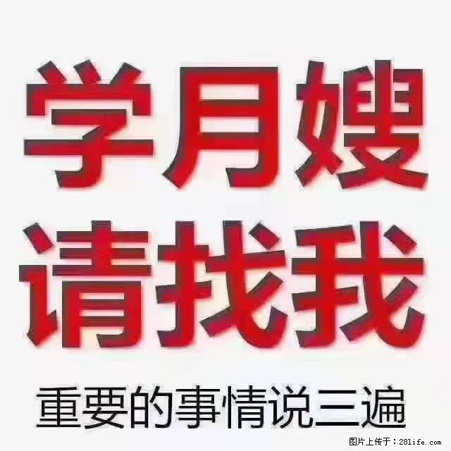 【招聘】月嫂,上海徐汇区 - 职场交流 - 钦州生活社区 - 钦州28生活网 qinzhou.28life.com