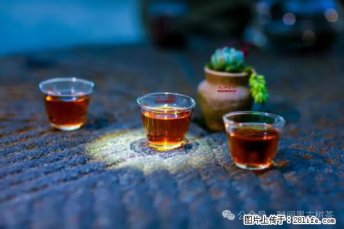 时间果百年古树2025年春红茶 - 购物交流 - 钦州生活社区 - 钦州28生活网 qinzhou.28life.com