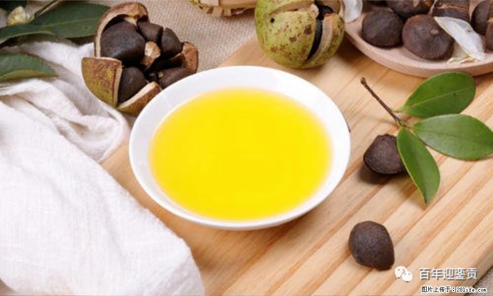 揭秘茶油的5大核心营养成分！被称为人体健康的“守护盾”！ - 钦州生活资讯 - 钦州28生活网 qinzhou.28life.com