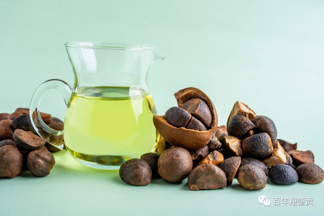 世界没有真相,只有认知,最好的食用油是中国的山茶油! - 钦州生活资讯 - 钦州28生活网 qinzhou.28life.com