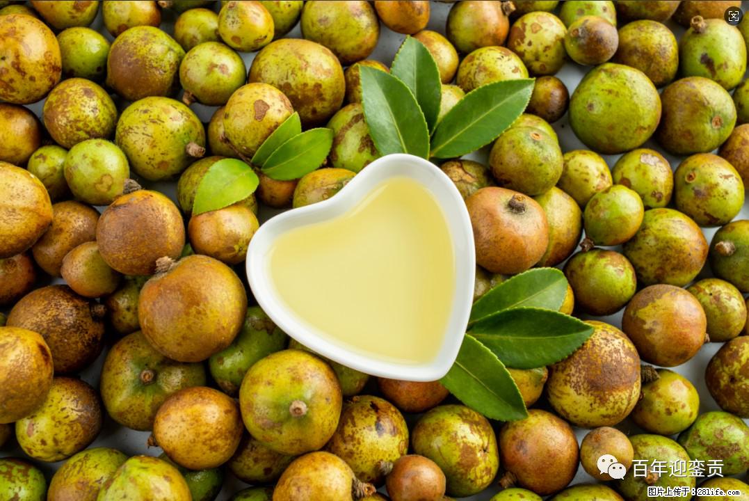 世界没有真相,只有认知,最好的食用油是中国的山茶油! - 钦州生活资讯 - 钦州28生活网 qinzhou.28life.com