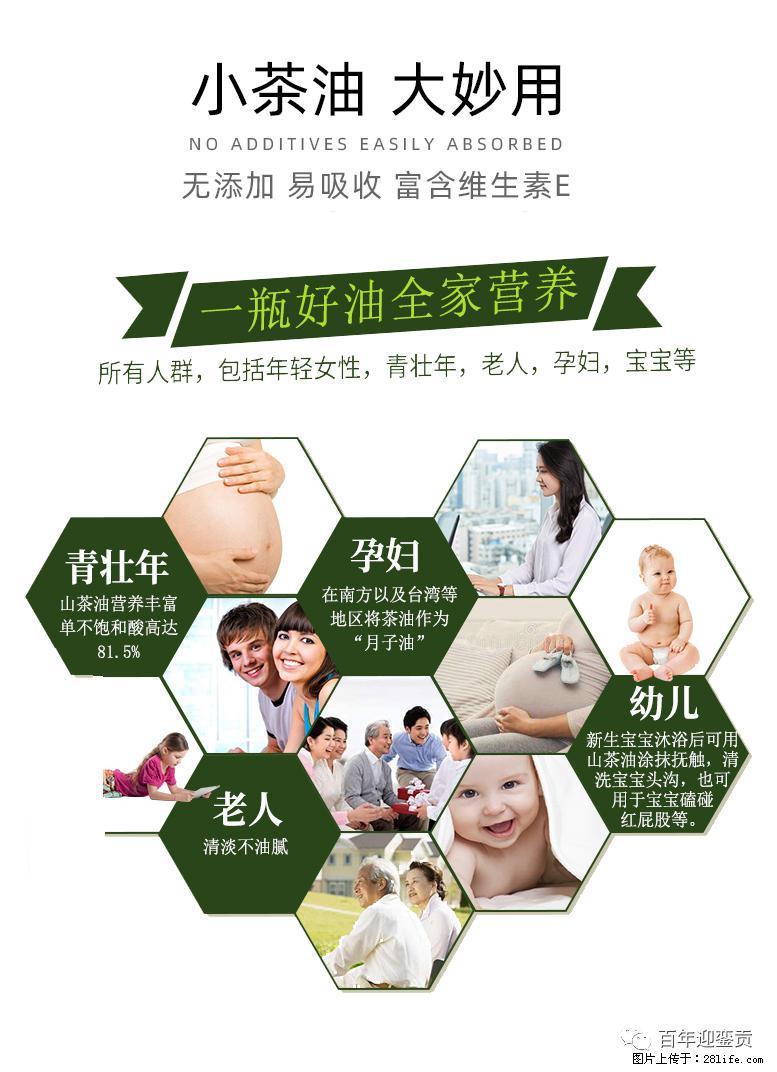 世界没有真相,只有认知,最好的食用油是中国的山茶油! - 钦州生活资讯 - 钦州28生活网 qinzhou.28life.com