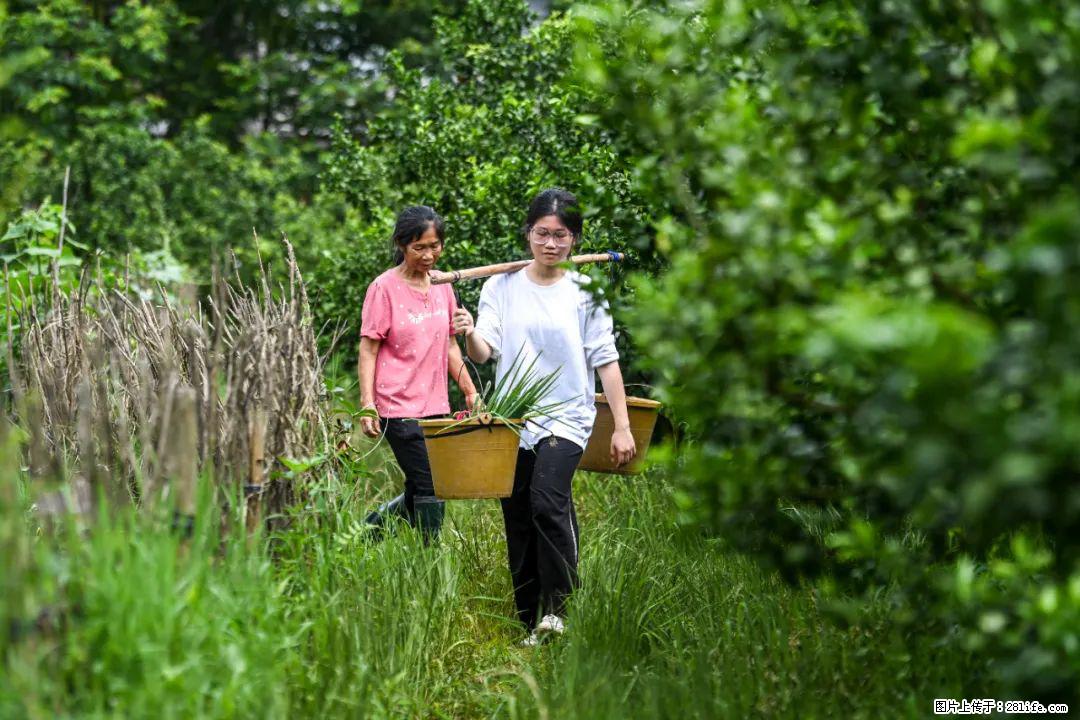全网追的“扁担女孩”，找了一份暑假工，时薪12元 - 钦州生活资讯 - 钦州28生活网 qinzhou.28life.com