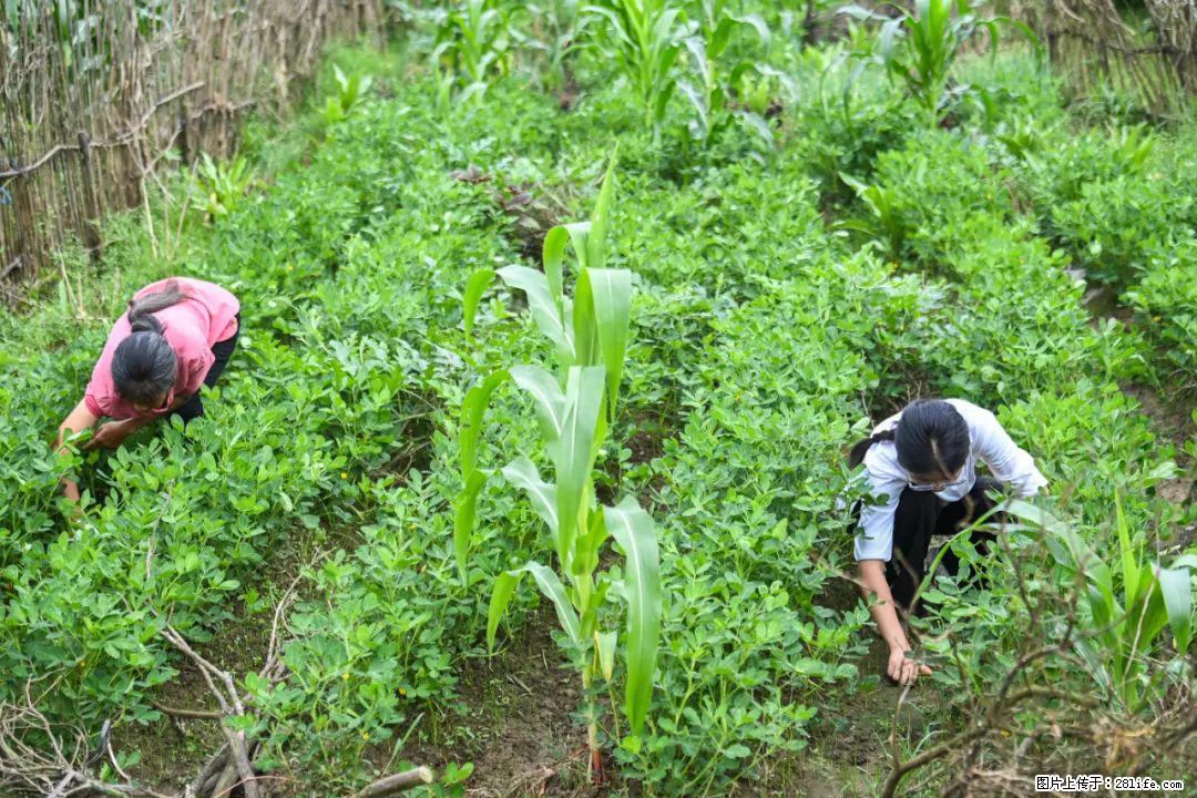 全网追的“扁担女孩”，找了一份暑假工，时薪12元 - 钦州生活资讯 - 钦州28生活网 qinzhou.28life.com