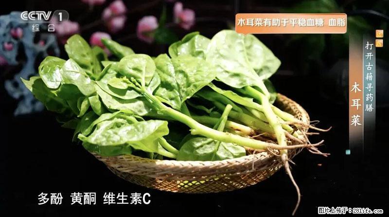 比牛奶补钙还厉害！凉血解毒、稳血糖...这菜冬天必吃，很多人却当草 - 钦州生活资讯 - 钦州28生活网 qinzhou.28life.com