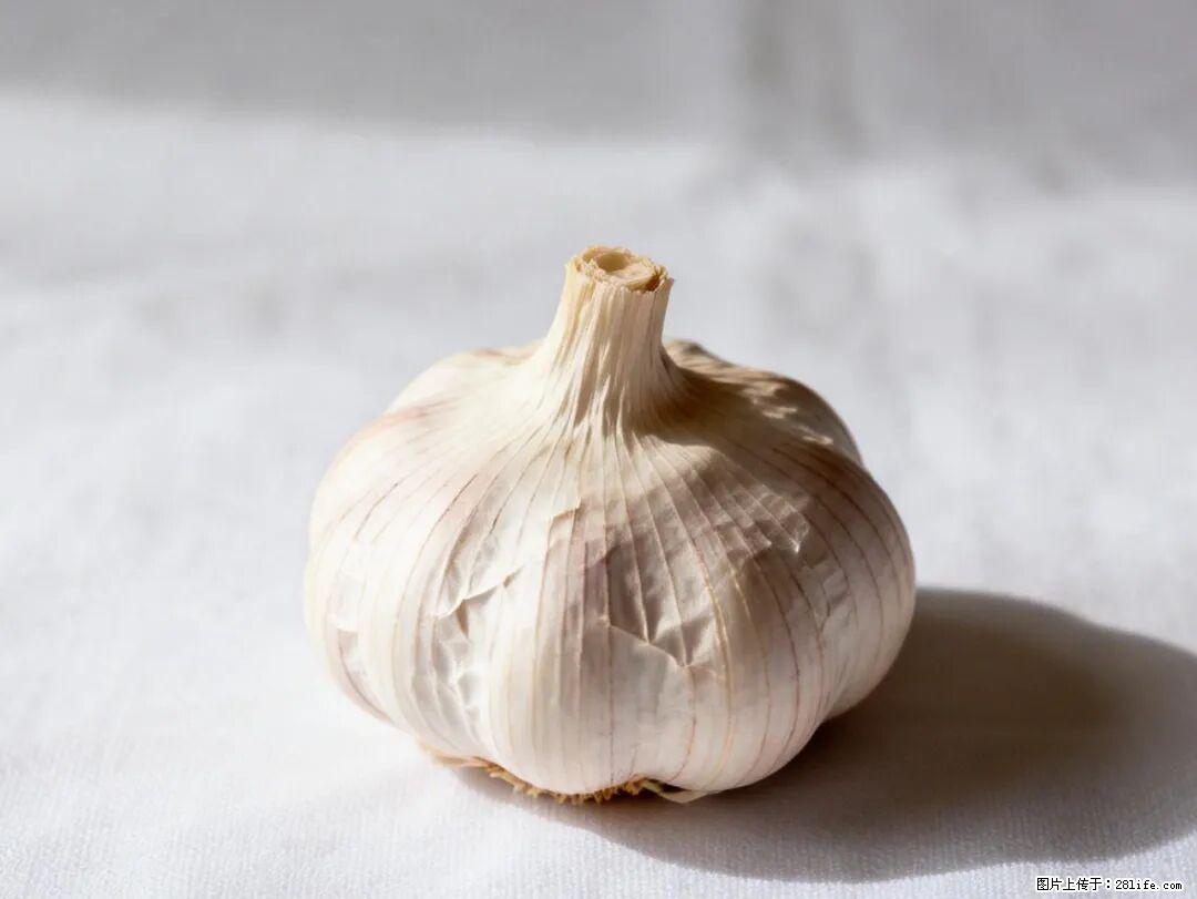 关于大蒜，除了“天然抗生素”，这4个谣言更该警惕! - 钦州生活资讯 - 钦州28生活网 qinzhou.28life.com