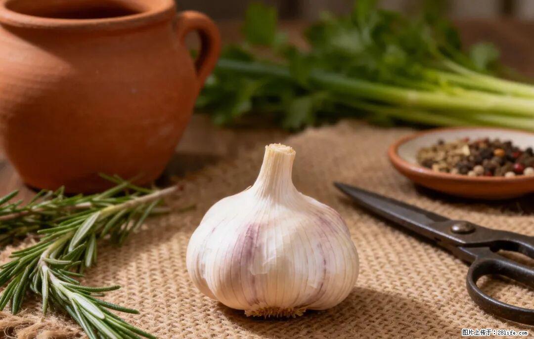 关于大蒜，除了“天然抗生素”，这4个谣言更该警惕! - 钦州生活资讯 - 钦州28生活网 qinzhou.28life.com