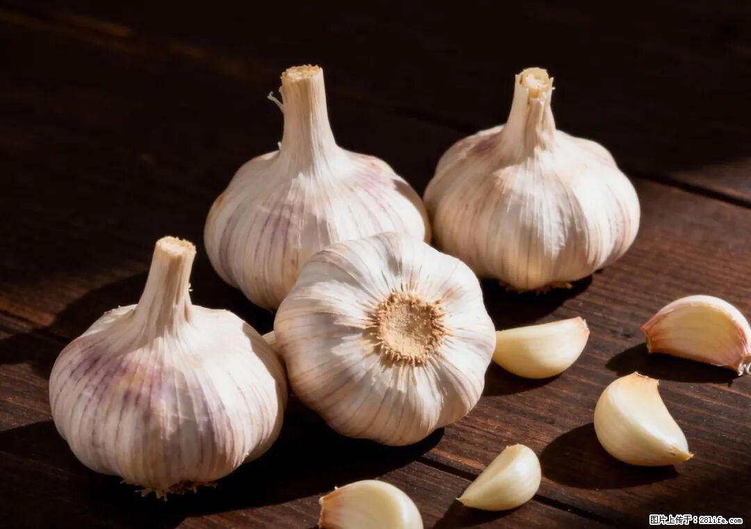 关于大蒜，除了“天然抗生素”，这4个谣言更该警惕! - 钦州生活资讯 - 钦州28生活网 qinzhou.28life.com