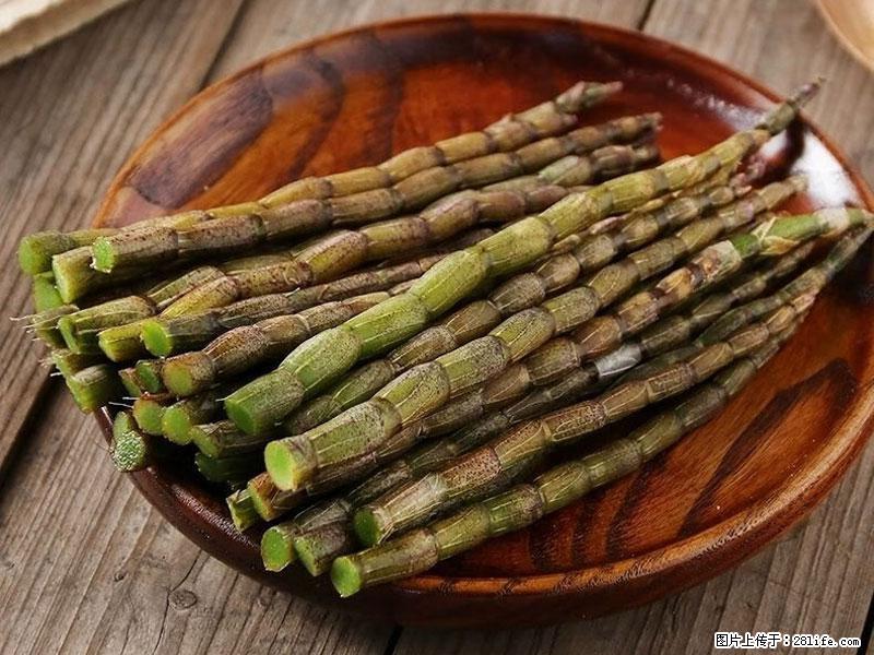铁皮石斛的作用与功能主治 - 钦州生活资讯 - 钦州28生活网 qinzhou.28life.com